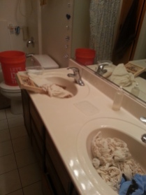 Place washed diapers in a clean basin.
